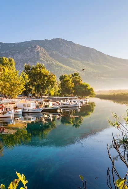 meertje bij akyaka turkije