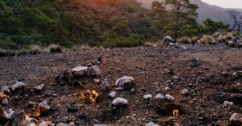 natuurlijk vuur, chimera turkije